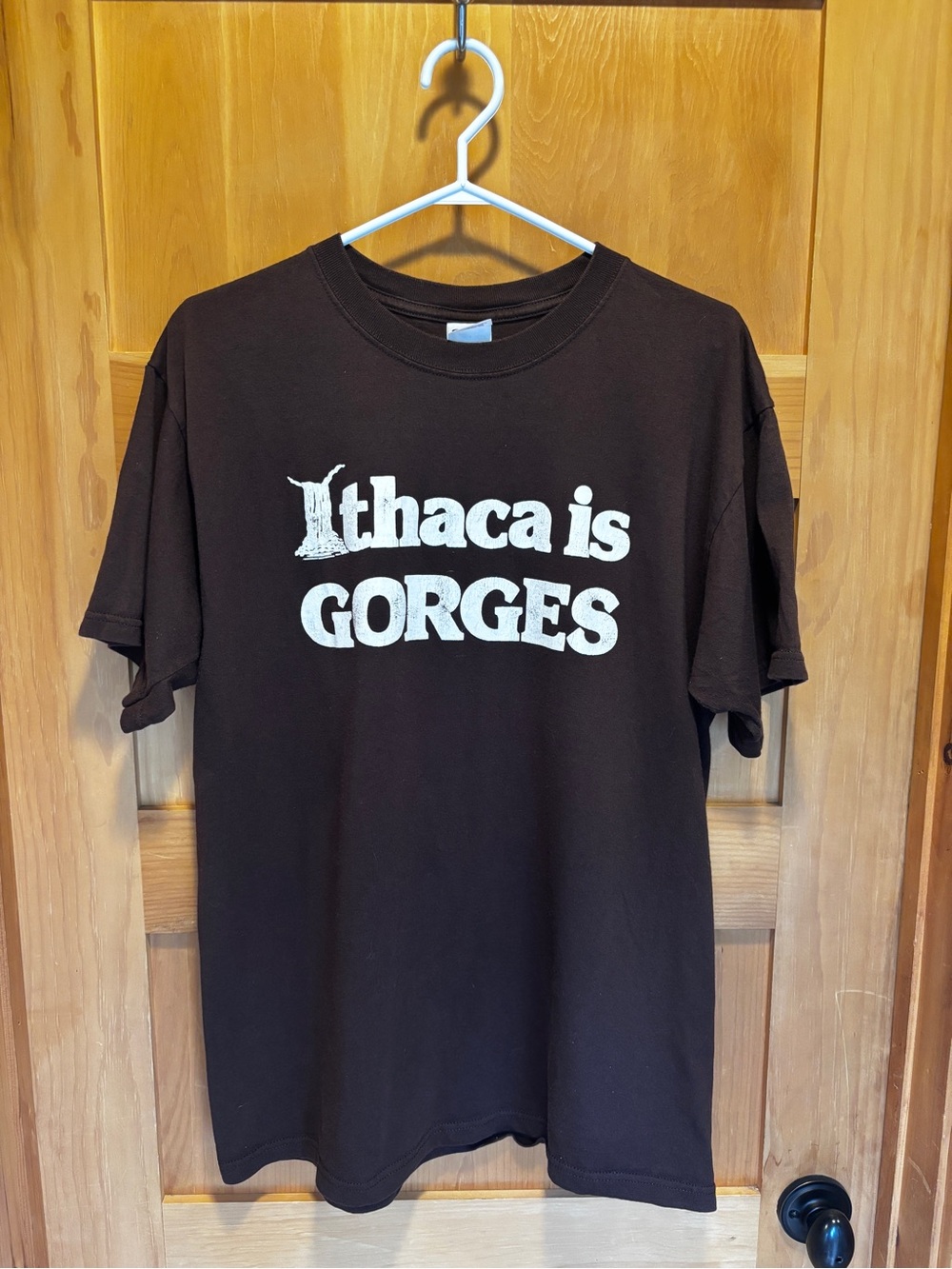 Vintage Ithaca Is Gorges Brown Graphic T-Shirt Size L 100% Cotton